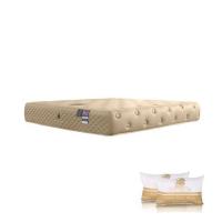 ราคา ที่นอน 5 ฟุต DUNLOPILLO BIBURY (พร้อมหมอนหนุน 2 ชิ้น) (1266039)