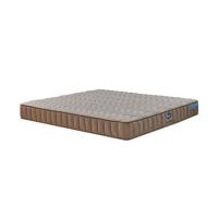 ราคา ที่นอนสปริง 6 ฟุต SATIN รุ่น CLASSIC (1301011)