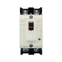 ราคา ออโต้เบรกเกอร์ TAKAMURA TNF30CS-2P20A 2.5KA 1 เฟส (1250031)