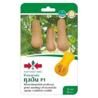 ราคา เมล็ดพันธุ์ฟักทองลูกผสม ถุงเงิน F1 ตราศรแดง (1324208)