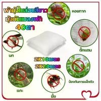 ราคา Mystic Garden-ผ้ามุ้งไนล่อนสีขาว มุ้งกันแมลงผัก 40ตา 2X10เมตร 2X20เมตร มุ้งขาวโรงเรือน ตาข่ายกันแมลง UV มุ้งโรงเรือน โรงเรือนเพาะชำ มุ้งปลูกผัก (1730913640712800487)