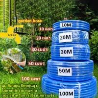 ราคา สายยางสีฟ้า ขนาด 1/2 นิ้ว (4หุน) ความยาว10/15/20/30เมตร ยางอ่อนยืดหยุ่นพิเศษ เนื้อยางเด้ง เกรดA 100% เกรด A สายยางรดต้นไม้ สายยาง PVCใหม่garden hose (1732063993320212543)
