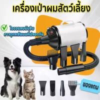 ราคา COD สัตว์เลี้ยงไดร์เป่าขนสุนัขและแมว รุ่นใหม่ไดร์ขนสุนัขไดร์เป่าขนแมวเครื่องเป่าขนไดร์ไล่น้ำ ระบบไอออนลบ ไดร์เป่าขนหมาTikTok (1731386956238456573)