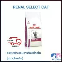 ราคา Yiyangqianxi'Shop ปัจจุบัน Royal Canin Renal select cat 4 kg สำหรับแมวโรคไตที่กินยาก (1730370596525673111)