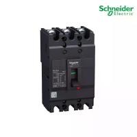 ราคา เมนเบรกเกอร์ EZC100N3100 SCHNEIDER SQUARE-D (1729778695271254945)