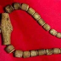 ราคา ว่านไม้พญาท้าวเอว สภาพสมบูรณ์ (1731468304033809459)