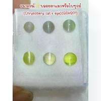 ราคา ธนาภรณ์(GSH971)พลอยตาแมวหรือไพฑูรย์(Chrysobery Cats eye) (1731173407989992144)