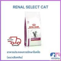 ราคา sugarbshop ใช้งานได้ Royal Canin Renal select cat 4 kg สำหรับแมวโรคไตที่กินยาก อาหาร สุนัข คานิว่า มัน แมว deserve (1730325747365546190)