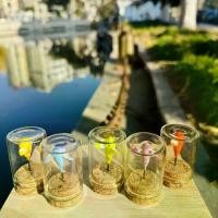 ราคา ทุ่นตกปลา, Gadget หลายเมตร, ทุ่นหมุน, ความไวสูง, ทุ่นปลาไมโครวัตถุ, ตกปลา, ก้านคางคก, กระแส, ทุ่นปลาเล็ก (1730929719483796358)