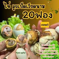 ราคา ไข่ลูกเป็ดเวียดนามแท้ ระยะ 2 สดใหม่ 20 ฟอง ไข่ ฮ้างฮัง ลูก ฮ้าง quail eggs ครอบ เป็ด ไข่เยี่ยวม้า ขนมไข่ ภูเก็ต นกกระทา ต้ม ต้ท raw egg หมึก ข้าว ผ เมนูไข่ ปลาหมึก ลูกไก่ หลัง 1 ญี่ปุ่น (1731089606563