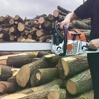 ราคา เลื่อยตัดน้ำมันเบนซินนำเข้าขนาดเล็กในครัวเรือนแบบใช้มือเดียว น้ำหนักเบา เครื่องตัดต้นไม้ ไม้ไผ่ เลื่อยตัดน้ำมันขนาดเล็กแบบใช้แก๊ส-ไฟฟ้า เลื่อยโซ่ยนต์ เครื่องตัดไม้ (1731356055696344661)