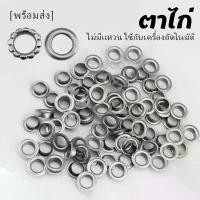 ราคา ตาไก่ ไม่มีแหวน 10mm 8mm ใช้กับเครื่องอัตโนมัติ เหล็กชุบชุบนิกเกิล สีเงิน ตาไก่ป้ายไวนิล metallic eyelets ของ ตกแต่งต้น คริสต์มาส กระทงกลีบแมงดา ของขวัญ รับ ปริญญา เหรียญ หัวโ (1731485004093819565)