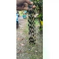 ราคา 【จัดส่งทันที】 สร้อยพระ สร้อยคอ กัลปังหา - สแตนเลส ของแท้100%รับประกัน[แฮนด์เมด] (1731395613226403452)