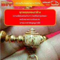 ราคา จัดส่งในกรุงเทพฯ สร้อย สร้อยคล้องพระ สร้อยพระ สร้อยคอ สร้อยคอมงคล สร้อยงาช้าง ทำจากกระดูกช้างแท้100% งานเเต่งเก่าคล้ายJา จี้หัวขุนเป็นงานjาเก่า (SSK2) (1731435803575616771)