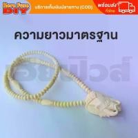 ราคา Discount สร้อย สร้อยคล้องพระ สร้อยพระ สร้อยคอ สร้อยกระดูกช้าง สร้อยงาช้าง ทำจากกระดูกช้าง เนื้อสวยฉ่ำคล้ายงาช้าง ความยาวมาตรฐาน (B2) (1731420086439609420)