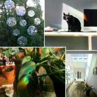 ราคา สติ๊กเกอร์ติดหน้าต่างปริซึมสีรุ้ง, สติ๊กเกอร์ติดกระจก, ชุดสติ๊กเกอร์ติดหน้าต่างนกสีรุ้ง, ชุด 20 ชิ้น, สติ๊กเกอร์ป้องกันการชนกัน, สำหรับบ้าน, ตัวสะท้อนแสงแบบถอดได้, อุปกรณ์ตกแต่งบ้าน, weautikgul (17315