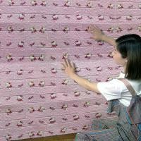 ราคา สติ๊กเกอร์ติดผนัง ลายการ์ตูน Hello Kitty และ Doraemon 3D กาวในตัว ตกแต่งห้องนอน กันน้ำ สติ๊กเกอร์ติดผนัง (1730941300866779332)