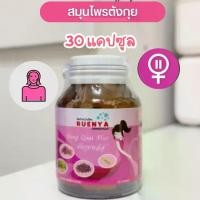 ราคา อาหารเสริม ตังกุย สมุนไพร สมุนไพรตังกุย โสมตังกุย สำหรับสตรี วัยทอง วัยทองก่อนวัย ตังกุยพลัส (1731048684983191773)