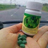 ราคา Spirulina Tablet สาหร่ายสไปรูลิน่า (1730362682979093375)