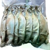 ราคา ปลาทูมัน แพค 1 กิโล ขนาด 10-12 ตัวโล ปลาเค็ม ปลาทู ปลาทูมัน ปลา ผ่า แห้ง ปลาทู (1731420187992165270)