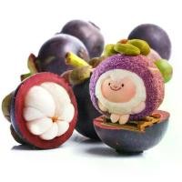 ราคา จี้ Zhujian DongDong ดีไซน์ดั้งเดิม แพะเลือด และไม้ไผ่ภูเขา พวงกุญแจน่ารัก ตุ๊กตาน้อย สไตล์ใหม่ (1731117787902740797)