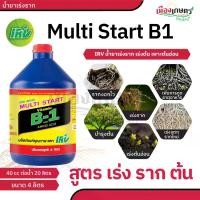 ราคา Lambert88 วิตามิน B-1 บี1 มัลติ สตาร์ท ขนาด 4 ลิตร แกลลอน ยาเร่งราก บำรุง ราก วิตตามิน บี1 vitamin b1 ยา เร่งราก rooter บำรุงราก น้ำยา b1 เพิ่มการ แตกราก ปุ๋ยราก start น้ำยาเร่งราก ขาย ร้อน (173212925