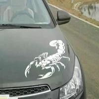 ราคา สติ๊กเกอร์ Totem แมงป่อง สติ๊กเกอร์ติดรถ แต่งรถ สติ๊กเกอร์ไวนิล สำหรับตกแต่งรถยนต์ สีขาว (1731585283511060875)