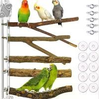 ราคา ของเล่นนกแก้ว, เครื่องประดับนก, ชุด 5 ชิ้น อาหาร นกเอี้ยง อาหาร นก เบิร์ด ฟรุตตี้ ortolan bird food บ่วง ดักนกอีลุ้ม ortolan bird food ครืน ดักนกกวัก 70 บ่วง ราว แขว (1731704542307189929)