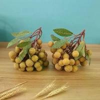 ราคา โมเดลผลไม้จำลอง ลำไยปลอม อบเชย อาหาร ผักและผลไม้ ตกแต่งซูเปอร์มาร์เก็ต ตกแต่งหน้าต่างแสดง อุปกรณ์ถ่ายภาพตกแต่ง (1729779557412407890)