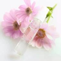 ราคา พร้อมส่ง‼️ น้ำหอมพกพา ขนาดทดลอง น้ำหอมเทสเตอร์ 2ml. น้ำหอม ขนาดพกพา 2ML น้ำหอม perfume (1731208144721250137)