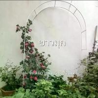 ราคา ซุ้มกุหลาบเลื้อย ซุ้มไม้เลื้อย ซุ้มเหล็กโค้ง ของแต่งสวน ซุ้มงานแต่ง ชั้นวางดอกไม้ โครงซุ้มแต่งงาน อุปกรณ์ตกแต่งสวน (1732005971358092258)