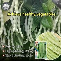 ราคา ปลูกง่าย(30เมล็ด/ซอง) เมล็ดพันธุ์ ถั่วแขก ถั่วพุ่ม White Kidney Bean Seeds ผลผลิตสูง ปลูกง่าย โตไว เมล็ดพันธุ์ถั่วแขก Bean Plants Seeds Vegetable Seeds เมล็ดพันธุ์แท้ OP เมล็ดพัน (1730482548245236258)