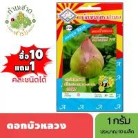 ราคา 3A (ซื้อ10แถม1) เมล็ดพันธุ์ ดอกบัวหลวง ขนาด1กรัม ประมาณ10เมล็ด LOTUS บัวหลวง เมล็ดพันธุ์พืช เมล็ดผัก ปลูกผักสวนครัว (1729626172901918729)