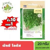 ราคา เจียไต๋ (ซื้อ10แถม1) ผักชี โลตัส CORIANDER LOTUS ขนาด20กรัม ประมาณ1,600เมล็ด เมล็ดพันธุ์พืช เมล็ดผัก ปลูกผักสวนครัว (1730664324652238857)