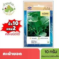 ราคา เจียไต๋ (ซื้อ10แถม2) เมล็ดพันธุ์ คะน้ายอด ขนาด10กรัม ประมาณ2,190เมล็ด Chinese Kale คะน้า เมล็ดพันธุ์พืช เมล็ดผัก ปลูกผักสวนครัว (1729627189619296265)