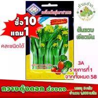 ราคา (ซื้อ10แถม1) เมล็ดพันธุ์ กวางตุ้งดอก ฮ่องกง Flowering Pak Choy ประมาณ 3,600เมล็ด 3A สามเอ ผักสวนครัว เมล็ดพันธุ์พืช เมล็ดผัก เม็ดผัก พืชผัก (1729624198308071433)