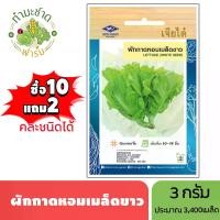 ราคา เจียไต๋ (ซื้อ10แถม2) เมล็ดพันธุ์ ผักกาดหอมเมล็ดขาว ขนาด3กรัม ประมาณ3,400เมล็ด Lettuce ผักสลัด เมล็ดพันธุ์พืช เมล็ดผัก ปลูกผักสวนครัว (1729634308892755977)