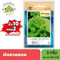 ราคา เจียไต๋ (ซื้อ10แถม2) เมล็ดพันธุ์ ผักกาดหอม ขนาด3กรัม ประมาณ960เมล็ด Lettuce ผักสลัด เมล็ดพันธุ์พืช เมล็ดผัก ปลูกผักสวนครัว (1729634006467512329)