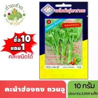 ราคา 3A (ซื้อ10แถม1) เมล็ดพันธุ์ คะน้าฮ่องกง กวนอู ขนาด 10 กรัม ประมาณ 2,050 เมล็ด HONG KONG KALE GUAN YU คะน้า เมล็ดพันธุ์พืช เมล็ดผัก ปลูกผักสวนครัว (1729624207826454537)
