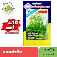 ราคา 3A (ซื้อ10แถม1) เมล็ดพันธุ์ ตำลึง ขนาด 1 กรัม ประมาณ 5 เมล็ด IVY GOURD ยอดตำลึง ตำลึง เมล็ดพันธุ์พืช เมล็ดผัก ปลูกผักสวนครัว (1729624217914935305)