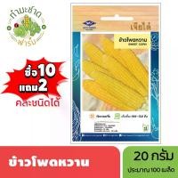 ราคา เจียไต๋ (ซื้อ10แถม2) เมล็ดพันธุ์ ข้าวโพดหวาน ขนาด20กรัม ประมาณ100เมล็ด Sweet Corn ข้าวโพด เมล็ดพันธุ์พืช เมล็ดผัก ปลูกผักสวนครัว (1729638497957611529)