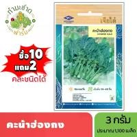 ราคา เจียไต๋ (ซื้อ10แถม2) เมล็ดพันธุ์ คะน้าฮ่องกง ขนาด3กรัม ประมาณ1,100เมล็ด Chinese Kale คะน้า เมล็ดพันธุ์พืช เมล็ดผัก ปลูกผักสวนครัว (1729627192059791369)