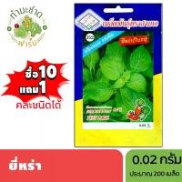 ราคา 3A (ซื้อ10แถม1) เมล็ดพันธุ์ ยี่หร่า ขนาด 0.02 กรัม ประมาณ 200 เมล็ด TREE BASIL ใบรา กระเพราญวน โหระพาช้าง เมล็ดพันธุ์พืช เมล็ดผัก ปลูกผักสวนครัว (1729624272387868681)