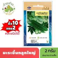 ราคา เจียไต๋ (ซื้อ10แถม2) เมล็ดพันธุ์ มะระขี้นกลูกใหญ่ ขนาด2กรัม ประมาณ12เมล็ด Bitter Gourd มะระ เมล็ดพันธุ์พืช เมล็ดผัก ปลูกผักสวนครัว (1729638548319406089)