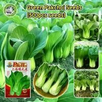 ราคา เมล็ดสด 100% ผักเบบี้ฮ้องเต้ เมล็ดพันธุ์ Green Pak Choi Seeds Organic Vegetable Seeds for Planting กวางตุ้งฮ่องเต้ เมล็ด กวางตุ้ง เมล็ดพันธุ์ ผักกาด กวางตุ้ง ก้านขาว ผักออร์แกนิก (1732050145992411839)
