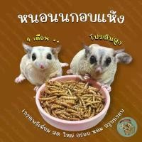 ราคา ( หนอนนกอบแห้ง ) MEALWORM หนอนนก แมลง แมลงอบแห้ง อาหารแห้ง กิ้งก่า เม่นแคระ ชูการ์ กระรอก ดอร์เมาส์ แฮมสเตอร์ เบี๊ยด นก (1731382259521718260)
