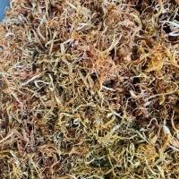 ราคา อาหารแห้ง หน่อไม้ฝอยอบแห้ง รสเปรี้ยว (หน่อเหี่ยว) 100 กรัม (1729719924667353290)