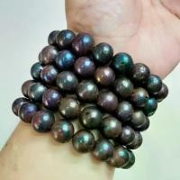 ราคา สร้อยข้อมือ แร่เหล็กไหล 7 สี ขนาด 12 มิล ข้อมือ 18-19ซม. จากเขาอึมครึม สุ่มเลือกจำนวน 1 เส้น (1731807404060085112)