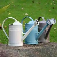 ราคา เครื่องมือทำสวน, ถังเหล็กเทียม 1.8L, หัวฝักบัวเรซิน, หม้อ, หม้อรดน้ำ (1731862149994350825)