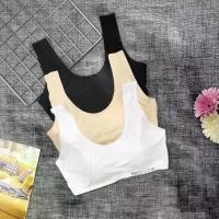 ราคา M/SB-4904 [อก 32-38] สปอร์ตบรา บราไร้โครง สปอร์ตบราไร้ขอบ ไร้โครง เสื้อชั้นในไร้ขอบ เสื้อซับใน ชุดชั้นในผู้หญิง บราซับในแฟชั่น (1729471599459862962)